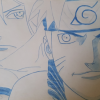 duo