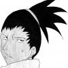 Shika le paresseux