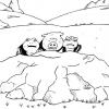 TONTON gama tatsu et gama kitchi