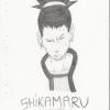 shikamaru frustré