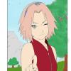 sakura