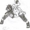 Kiba au combat