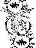 Poisson