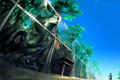 Naruto 360 Image 6