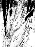 Ryuusa Bakuryu