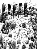 Ryuusa Bakuryu