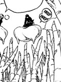 Sawaribi no Mai