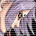 renard4qeu