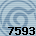 Equipe 7593