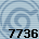 Equipe 7736