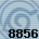 Equipe 8856