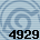 4929