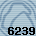 Equipe 6239