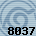 Equipe 8037