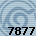 7877