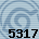 5317