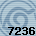 Equipe 7236