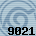 Equipe 9021