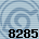 8285