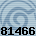 81466