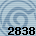 2838