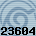 23604