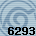 6293