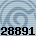 28891
