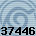 Equipe 37446