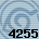 4255