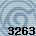 3263