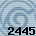 2445