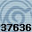 Equipe 37636