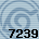 Equipe 7239