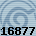 16877