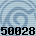 50028