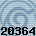 20364