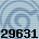 29631