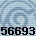 56693