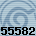 55582