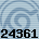 24361