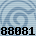 88081