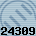 24309