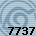 Equipe 7737