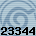 23344