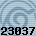 23037