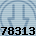 78313