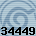 34449