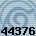 44376