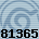 81365